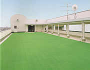 屋上広場(4F) 画像:屋上広場(4F)